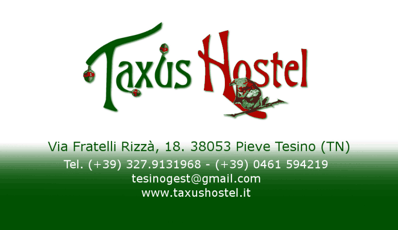 Taxus Hostel