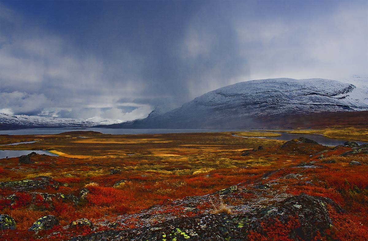 Kungsleden