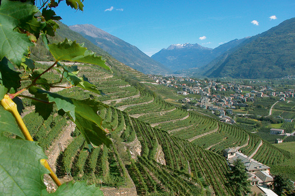 Valtellina